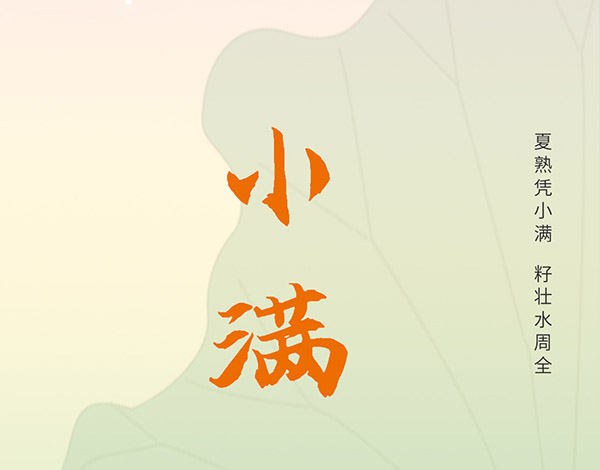 ＃小满＃┣━∙巴兰仕∙━┫-夏熟凭小满 籽壮水周全